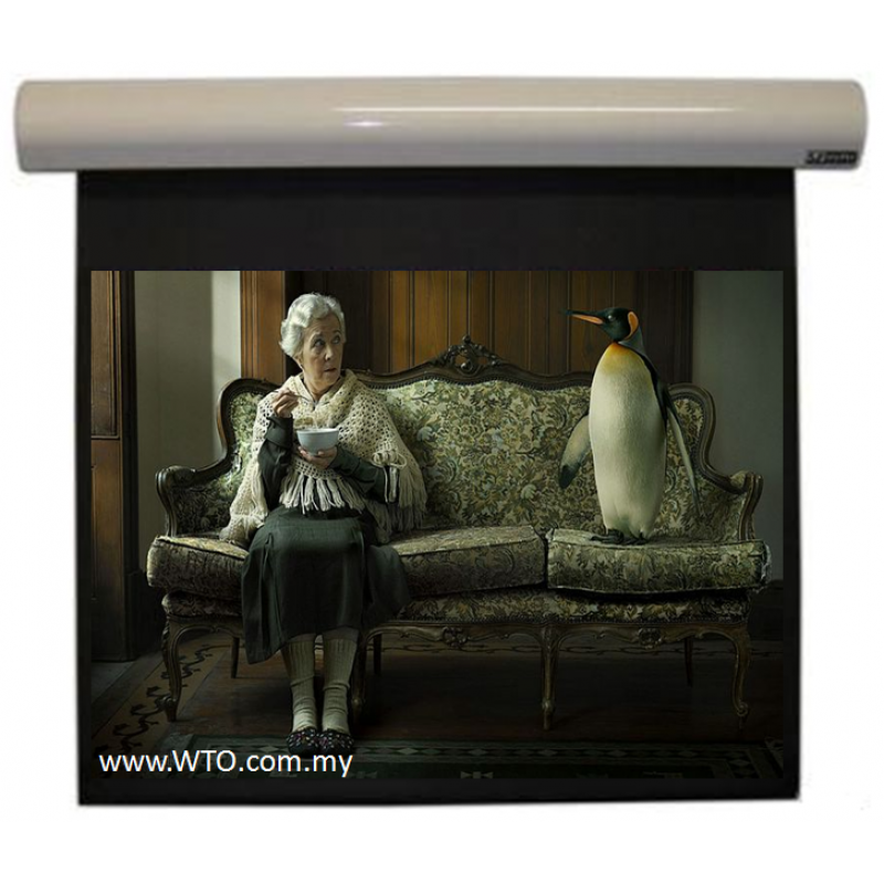 Motorised Matte White Screen 70" x 70"